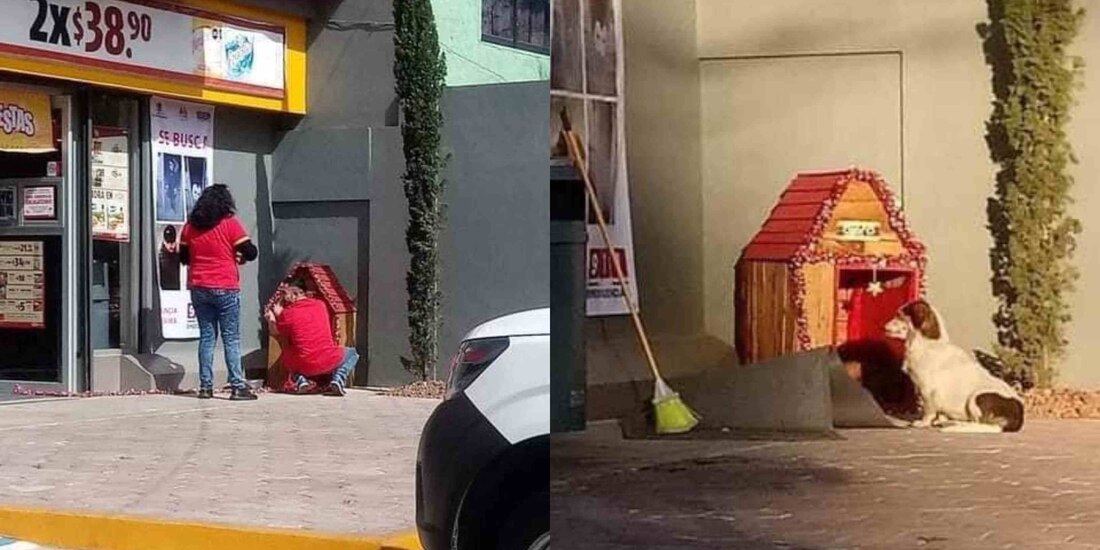 Empleados del Oxxo adornaron la casita de Migajón