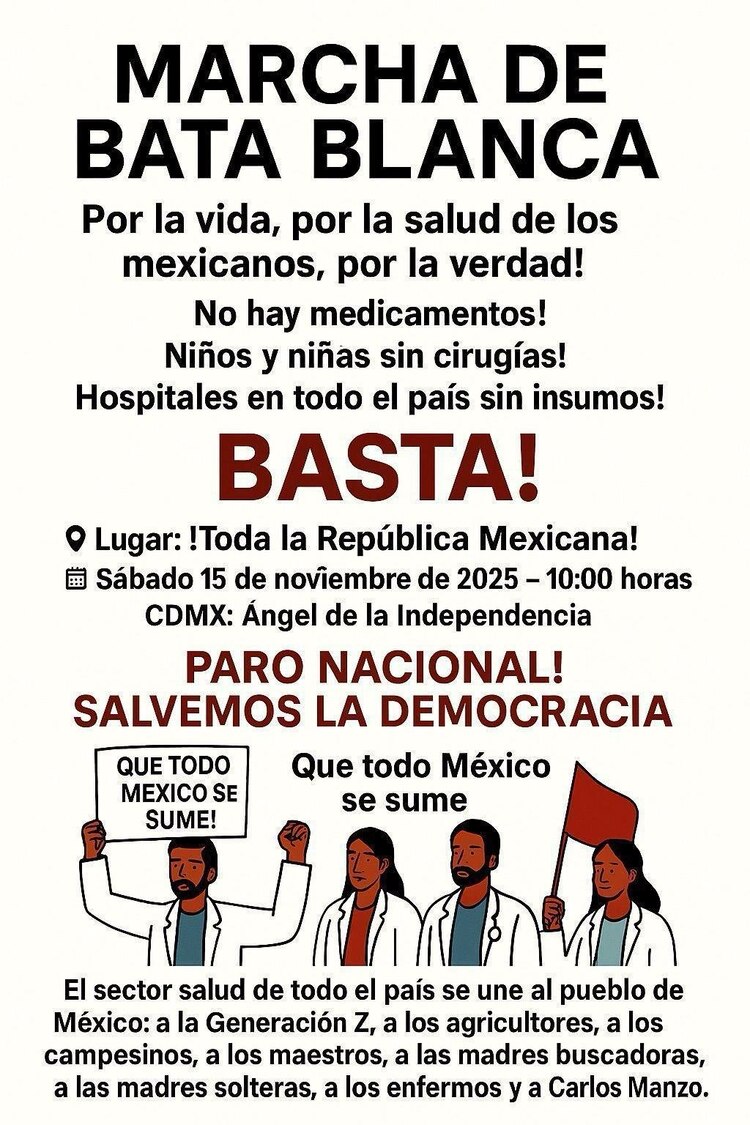 Marcha 15 de noviembre