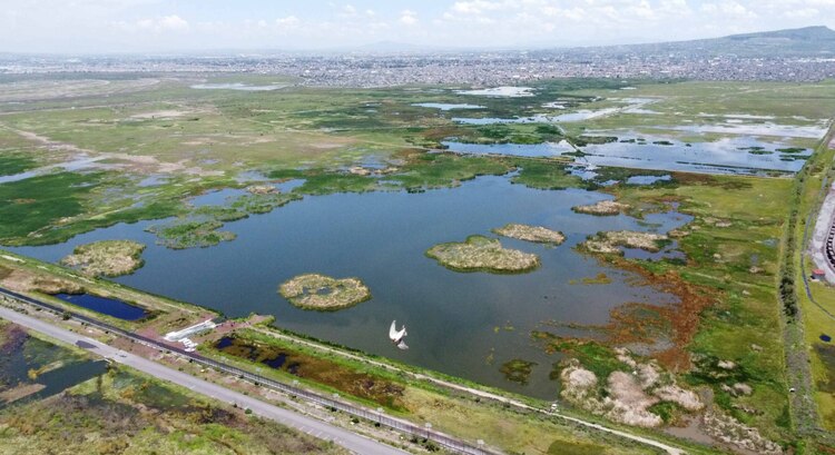 México podría regresar a categoría dos por no cumplir con los estándares internacionales en seguridad aérea. Lo que implica que aerolíneas mexicanas no puedan abrir nuevas rutas o aumentar vuelos hacia Estados Unidos. El aeropuerto que no se construyó, pero que seguiremos pagando los mexicanos hasta 2047. Y lo pagamos con cada uno de los boletos de avión que compramos para utilizar el AICM. La TUA, que es la tarifa de uso del Aeropuerto capitalino, es la más costosa de las terminales aéreas de Latinoamérica, Estados Unidos o Europa. La TUA generalmente se utiliza para darle mantenimiento a los aeropuertos. En México no, y es que, tras la cancelación en 2018 del aeropuerto de Texcoco (foto), que tenía ya más del 30% de avances y contratos firmados, esos contratos se tuvieron que pagar como si se hubiera terminado la obra. Para financiar el nuevo aeropuerto de México, se emitieron bonos internacionales por 6 mil millones de dólares respaldados por la TUA del AICM. Así que la TUA del AICM está comprometida hasta 2047, para terminar de pagar un aeropuerto que no se construyó por un capricho de un expresidente.