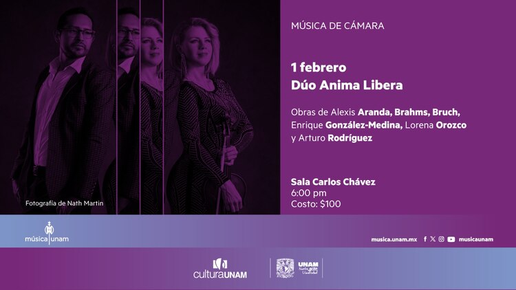 Música de cámara Recital de viola y piano.