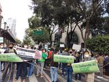 La comunidad del Centro de Investigación y Docencia Económicas, ayer en una manifestación.