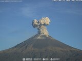 Volcán Popocatépetl. Así puedes proteger a tus animales de granja de la ceniza volcánica.