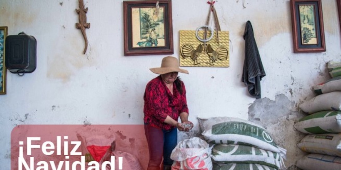 Estos beneficiarios y beneficiarias recibirán hasta 24,000 pesos este 24 de diciembre.