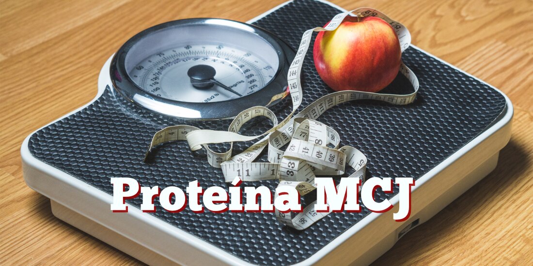 Proteína MCJ ¿Para quemar grasa? Esto sabemos