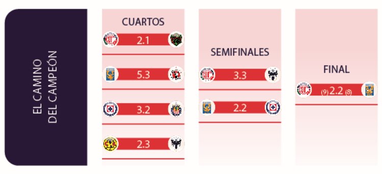 EL CAMINO DEL CAMPEÓN