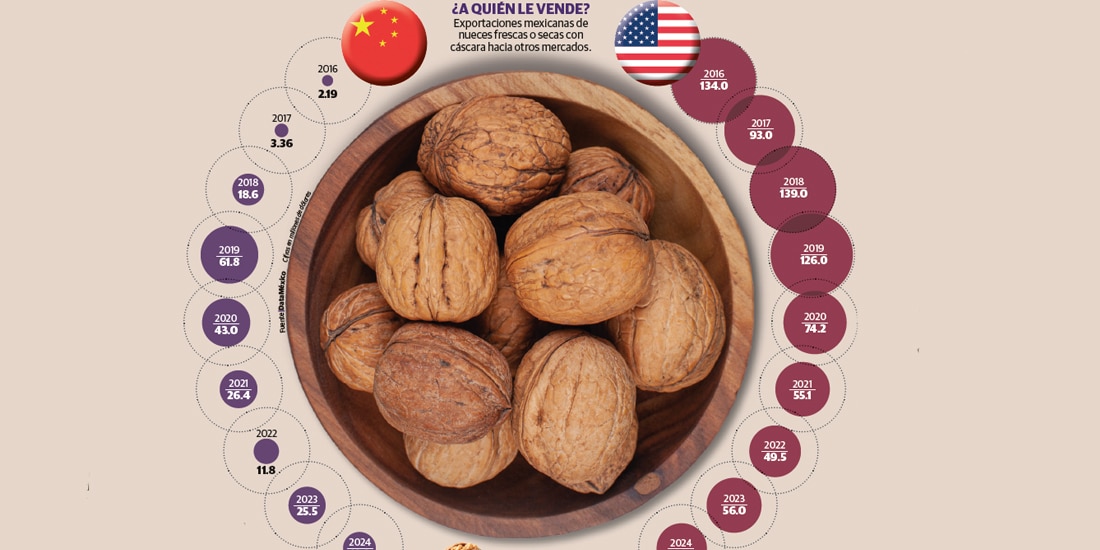 Cuota china a nuez mexicana ejerce presión al agro, advierte GCMA