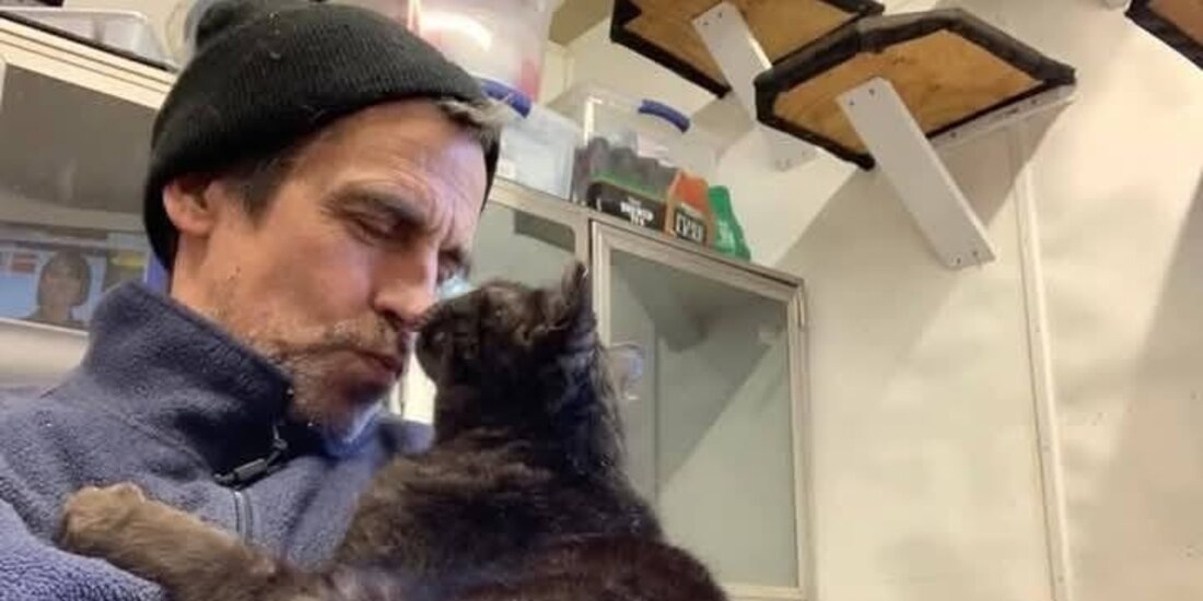 El incendio cobró la vida no sólo del responsable de rescatar a estos gatitos, sino también de más de 100 michis.