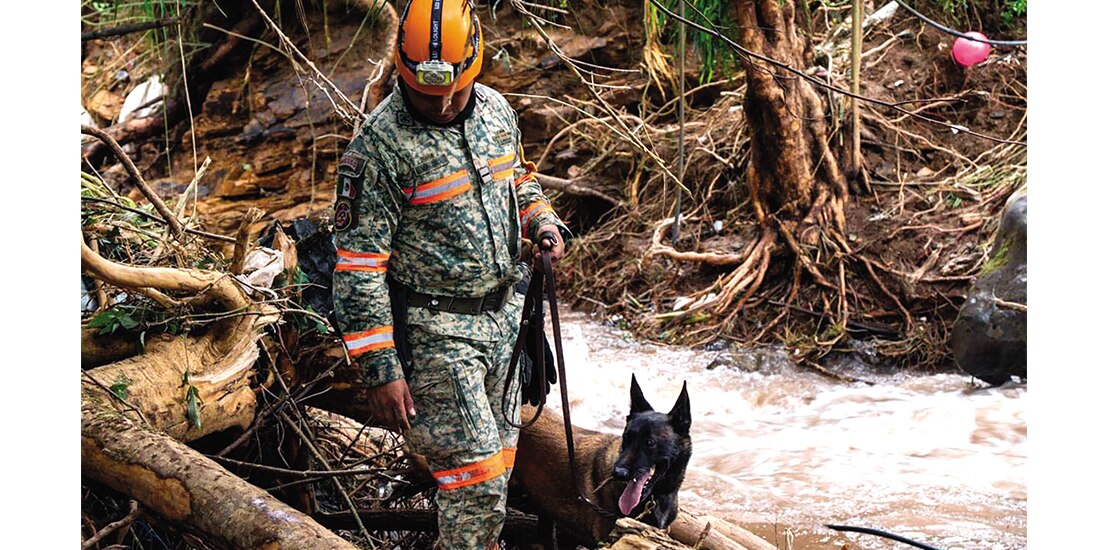Binomio canino busca desaparecidos en Puebla, el lunes.