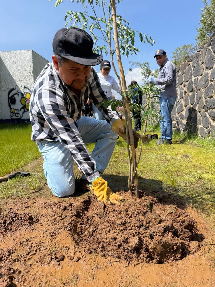 Voluntarios y brigadas forestales participan en jornadas de reforestación.