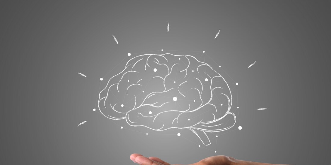 Los cursos de la SEP sobre salud mental están disponibles en línea.