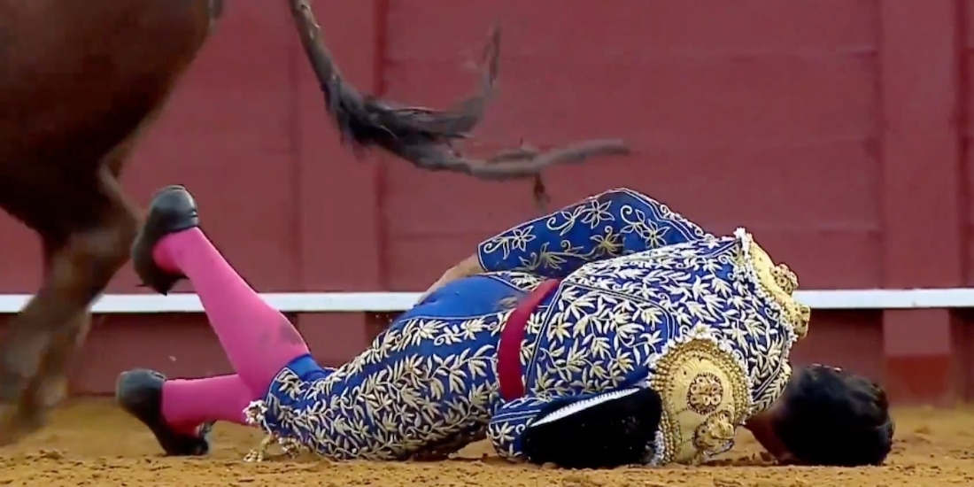 El español Morante de la Puebla sufrió una brutal cornada en la Feria de Abril en Sevilla.