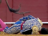 El español Morante de la Puebla sufrió una brutal cornada en la Feria de Abril en Sevilla.