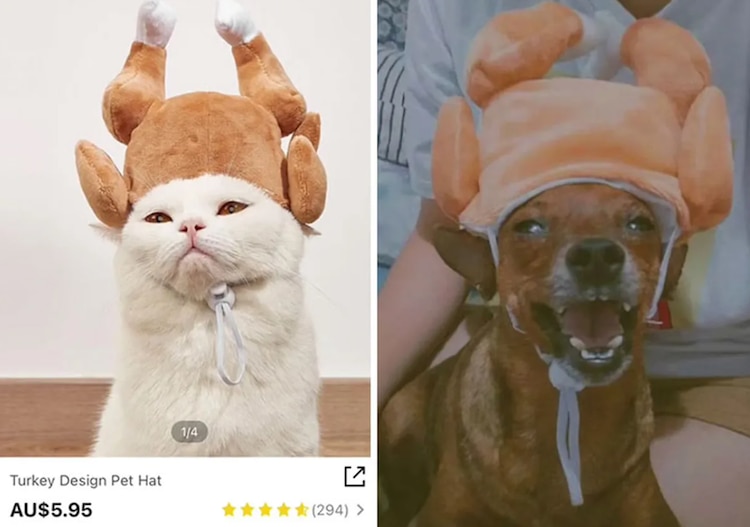 Úsalos tú, para la mascota creemos que son incómodos.