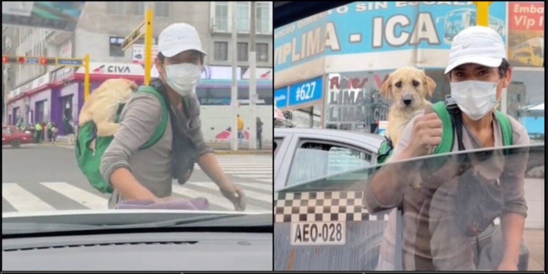 Joven limpia autos con su perrito en la espalda. Foto: Especial