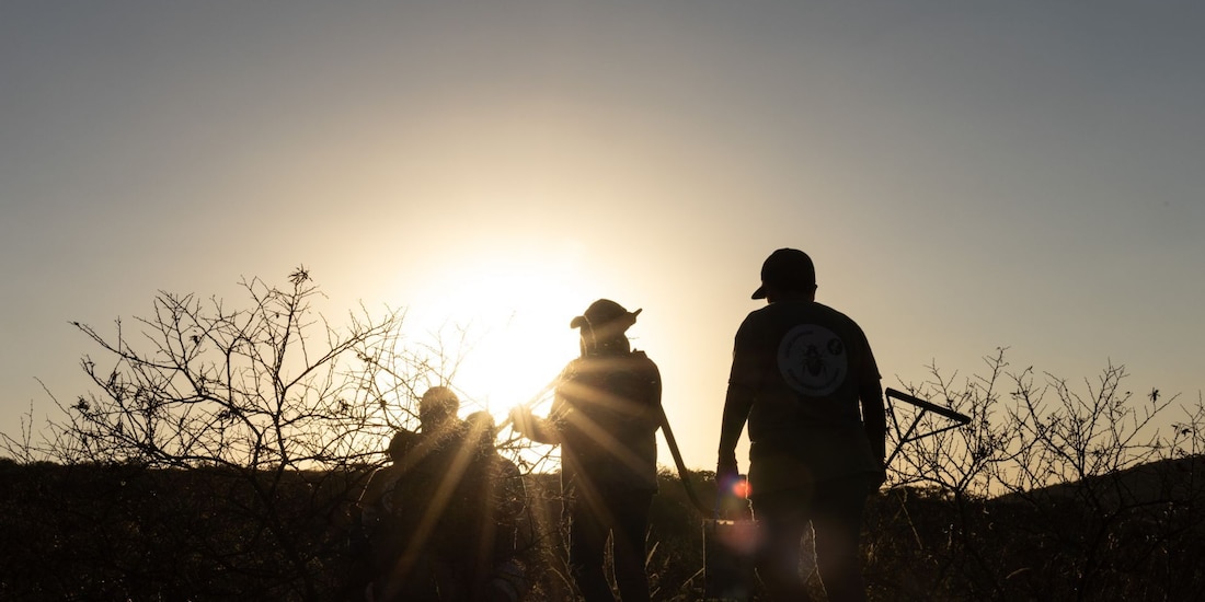 Aspecto de un grupo de buscadoras en Zacatecas.