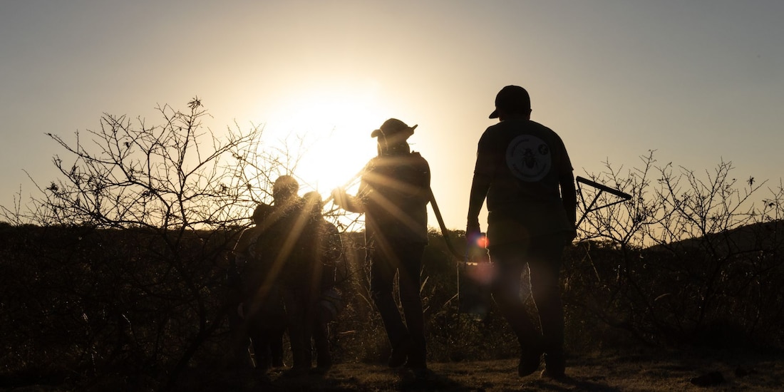 Aspecto de un grupo de buscadoras en Zacatecas.