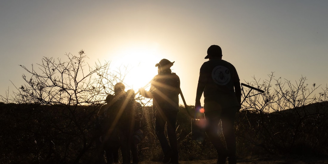 Imagen temática sobre grupos de personas buscando a desaparecidos.