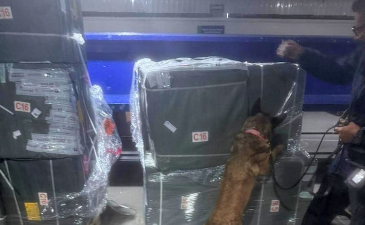 Confiscan cigarros irregulares en el AICM.