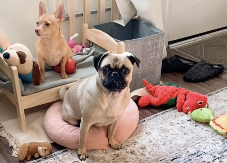 Los hermanitos juntos