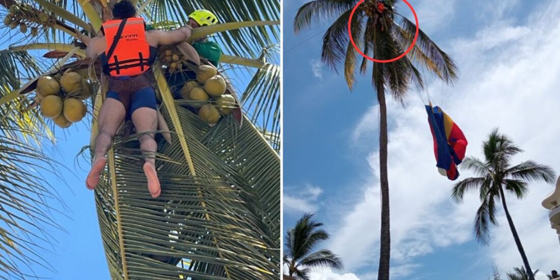 Un turista de Monterrey quedó colgado de una palmera en Bahía de Banderas tras perder el control durante un paseo en paracaídas.
