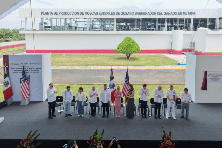 La presidenta Claudia Sheinbaum devela la placa inaugural de la nueva planta estratégica binacional de producción de moscas estériles en Chiapas.
