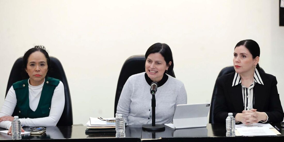 Maribel Méndez, vocera del comité del Legislativo (c.), ayer, en conferencia.