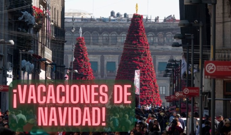 Vacaciones de invierno comienzan el 19 de diciembre. Foto: Especial