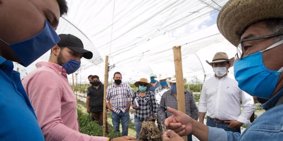 Beneficiarios del programa Agricultura Sustentable.