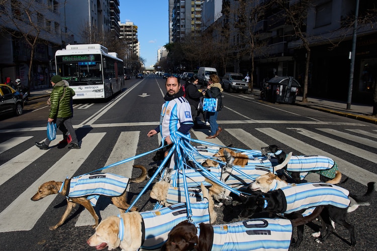 El grupo de perro que porta la camiseta de Messi.