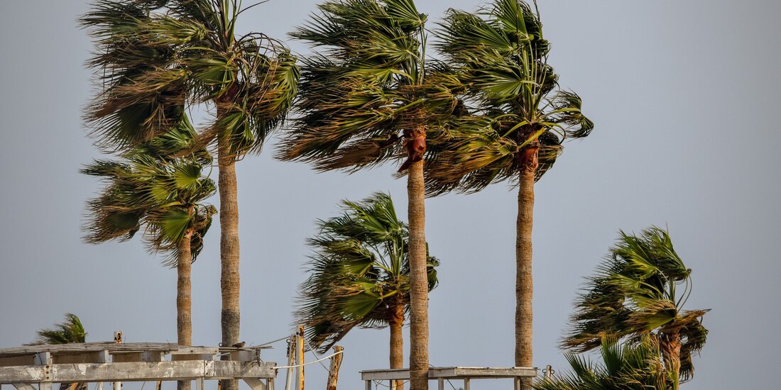 De acuerdo con Conagua, la Depresión Tropical Nueve-E en el Océano Pacífico se intensificó a la Tormenta Tropical Jimena