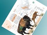 Tras 200 años, nacen en Sonora los primeros bisontes