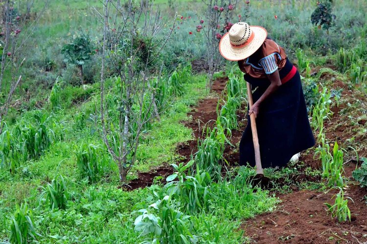 Este programa te apoya con más de 6,000 pesos mensuales.