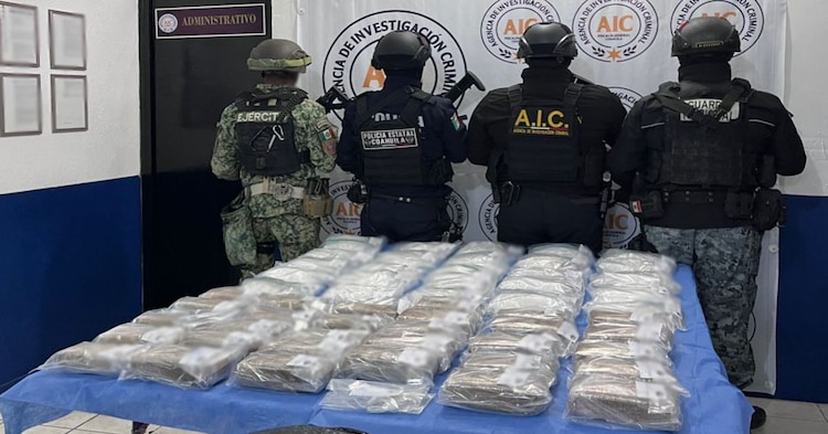 Fuerzas federales aseguraron sustancias químicas y drogas en varios estados.