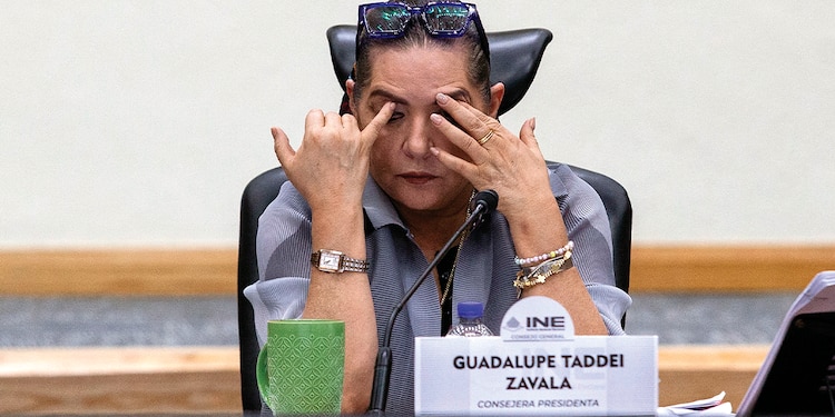 Guadalupe Taddei, en sesión del Consejo General, el pasado 8 de octubre.