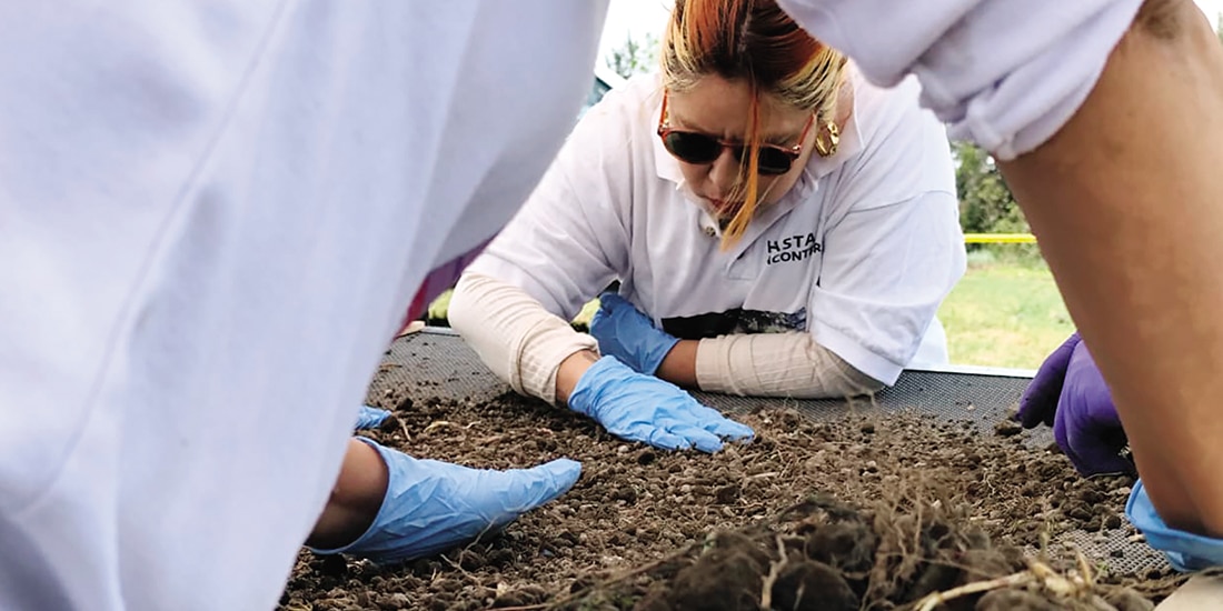 Una persona buscadora criba tierra de los humedales de Tláhuac para hallar restos óseos, ayer.