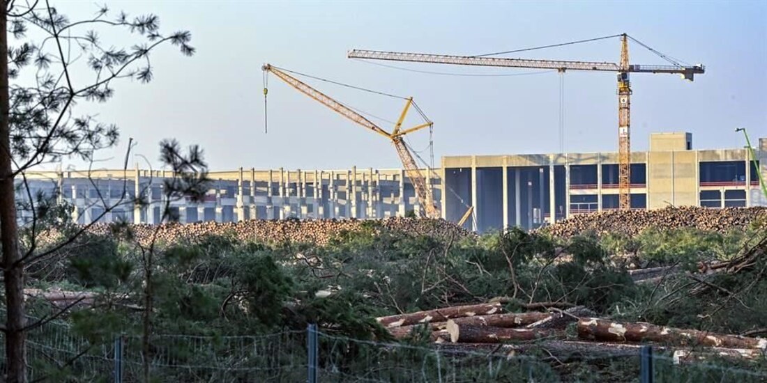 Sorprenden serpientes a trabajadores de Tesla
