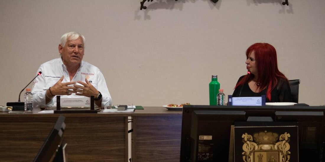 Trabajan Agricultura y Campeche en el fortalecimiento del campo y la autosuficiencia alimentaria de la entidad.