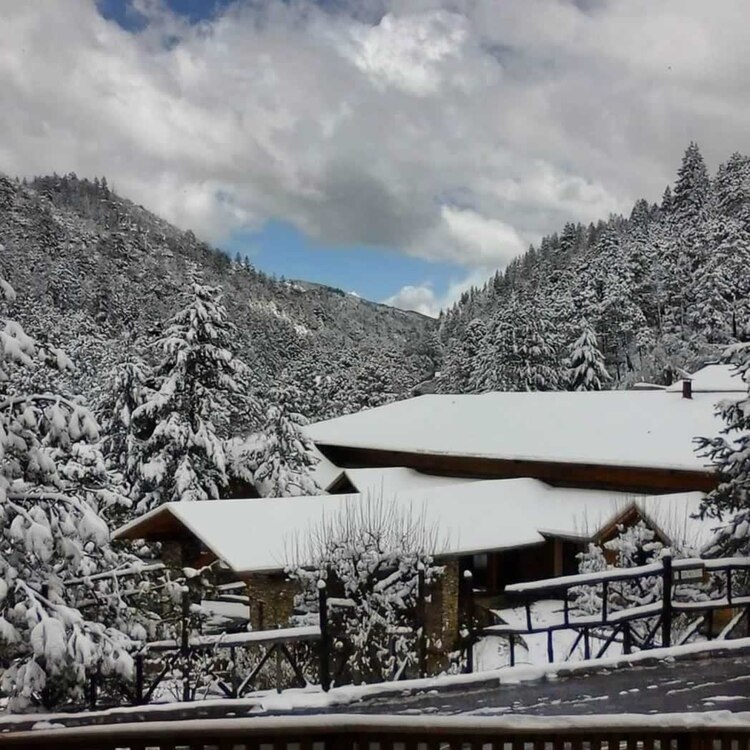 Bosques de Monterreal, Coahuila.
