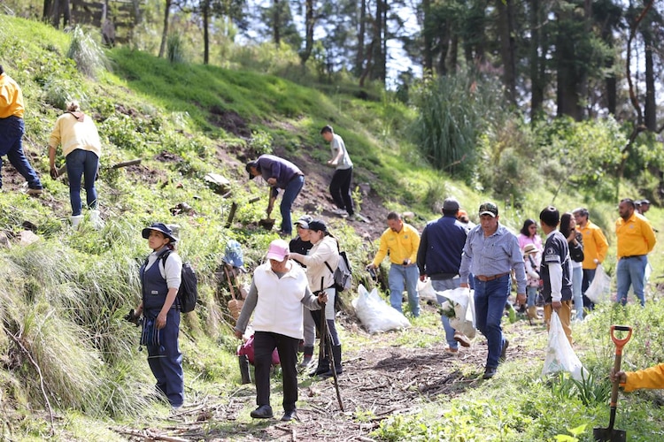 Integrantes de la Brigada Forestal concluyen las labores de reforestación con ejemplares de ocote y oyamel.