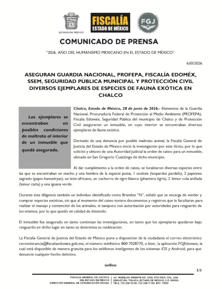 Las autoridades detuvieron en el lugar a un individuo identificado como Brandon N“.