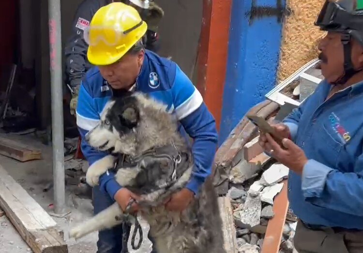 Explosión Coyoacán