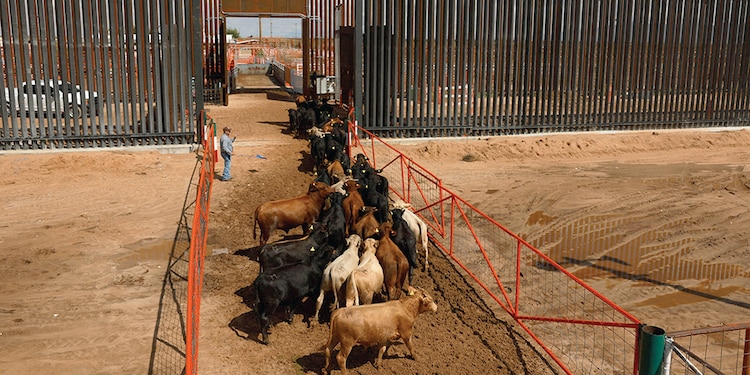 REAPERTURA del paso fronterizo San Jerónimo-Santa Teresa, el 24 de septiembre de 2026.