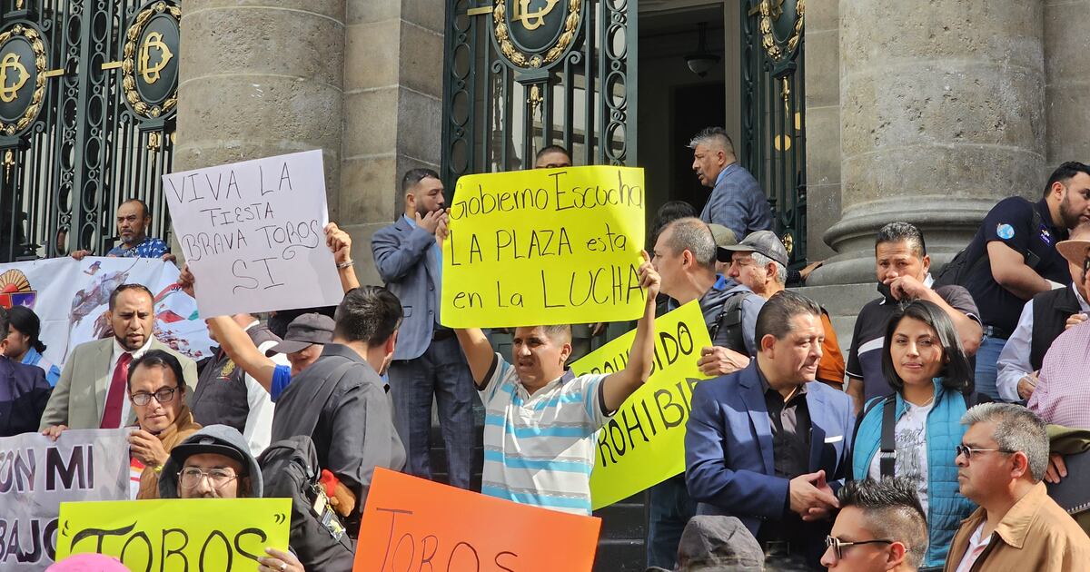 Es falso que los toros sufran', afirman manifestantes a favor de tauromaquia - La Razón de México