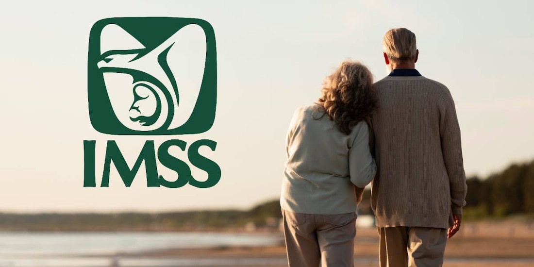 Requisitos, fechas y procedimiento