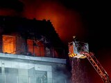 Incendio en Valencia también dejó 48 perros y 36 gatos muertos.