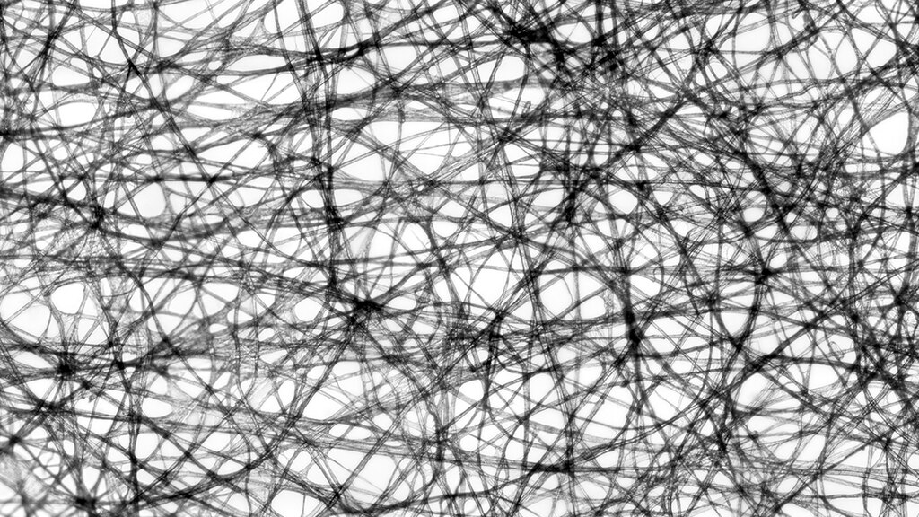 Micrografía de papel para limpiar lentes.