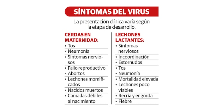 Síntomas del virus