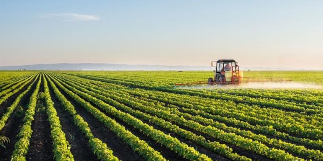 Cae déficit agroalimentario con Ecuador