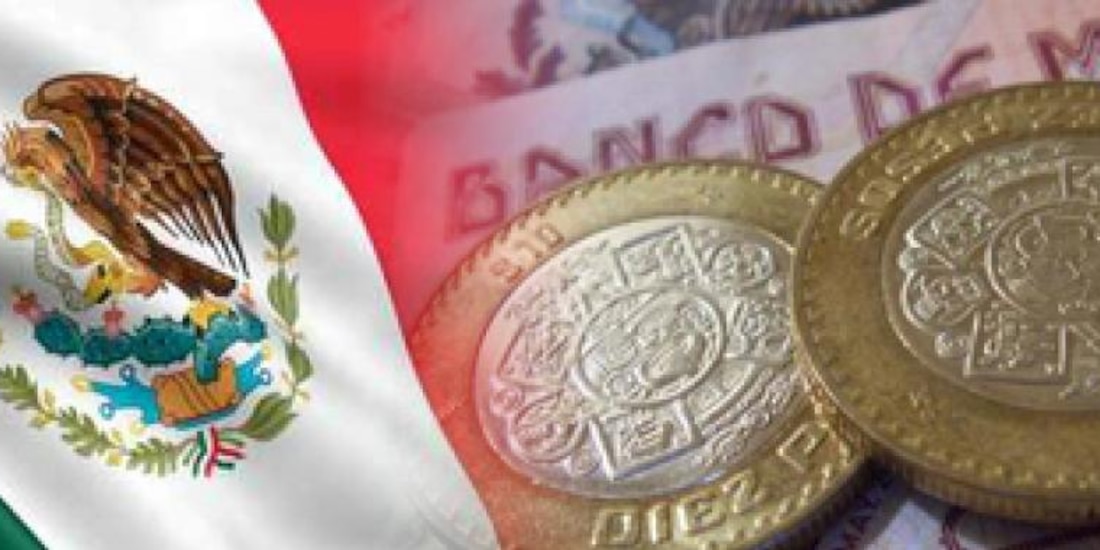 La economía mexicana se vio seriamente afectada el año pasado a causa del COVID-19.