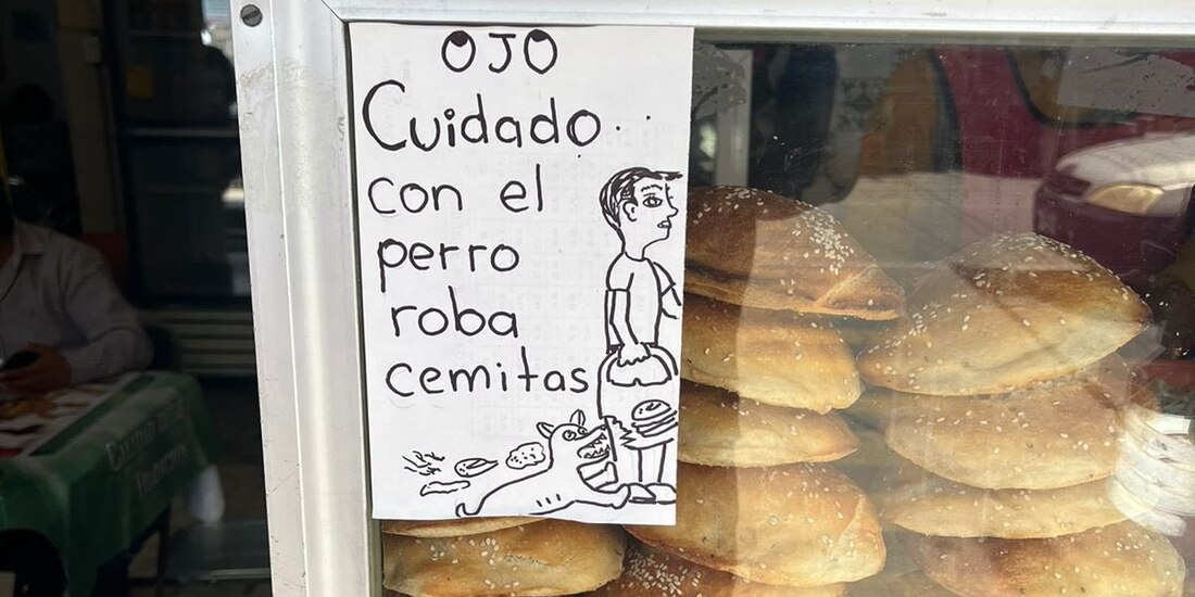 Alerta sobre perrito ladrón de cemitas en Puebla